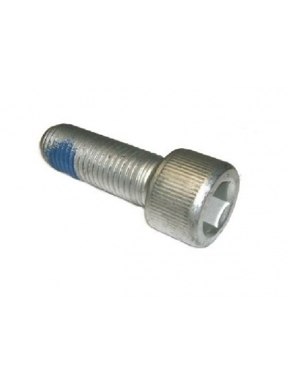 Śruba dźwigni wahacza-osi - Alko