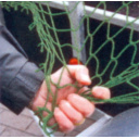 Siatka zabezpieczająca ładunek Cargo Net M - EuroTrail