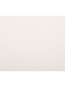 Panel elewacyjny płyta pilśniowa Hybrid II 3 mm 244x122 cm