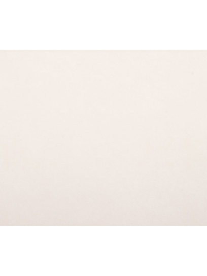 Panel elewacyjny płyta pilśniowa Hybrid II 3 mm 244x122 cm