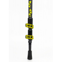 Kije trekkingowe RAPID CARBO - Rockland