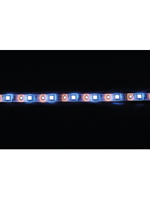 Taśma LED RGBW 12 V IP65 5 m - Carbest